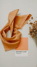 Load image into Gallery viewer, Georgia bandana - Southwestern cool Premium cotton, made in USA