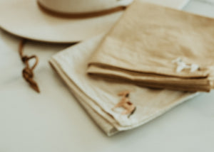 a little horse  -  Hand embroidered bandana